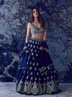 Lehenga : Tapeta With Embrodery Work