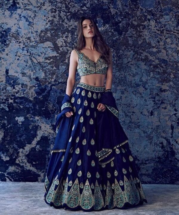 Lehenga : Tapeta With Embrodery Work