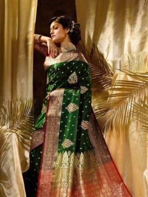 Embroidery saree