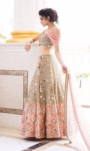 ✨ Designed & Stitched this pink 40 Kali, 9 mtr gher Lehenga ✨ | Fashion  design, Fashion, Pink