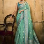 chiffon banarasi saree3