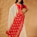 pure georgette banarasi saree