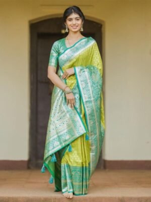 Banarasi Saree for Wedding