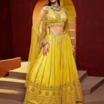 Embellished Thread Work Semi-Stitched Lehenga4