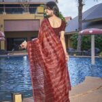 Ready to Wear Bollywood Lycra Blend Saree2