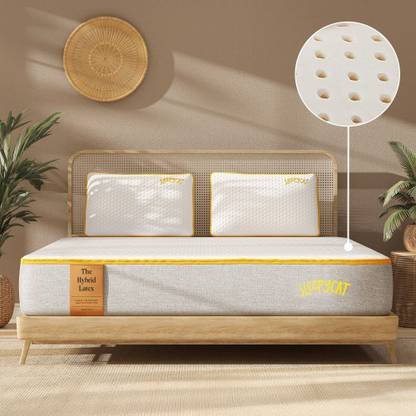 SleepyCat Hybrid 3-Layered Latex Orthopedic Mattress