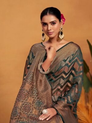 Woven Banarasi Organza Silk Saree with Blouse Piece