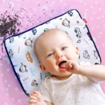 Mustard seed pillow for babies