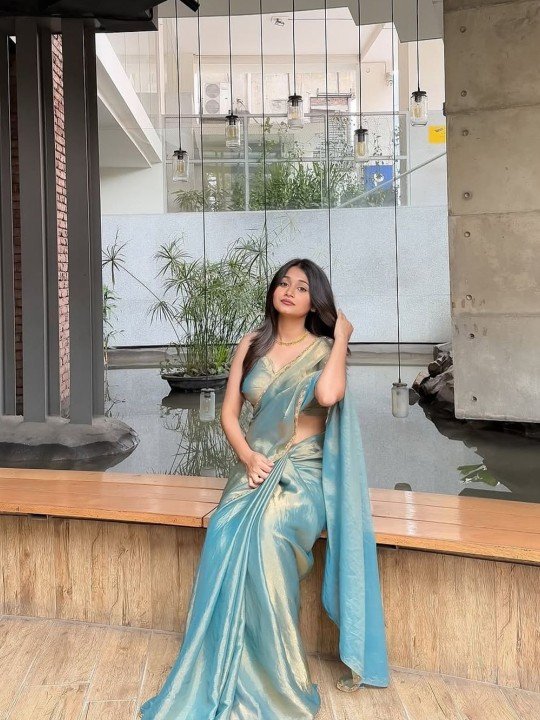 Women Solid Embroidered Organza Ilkal Saree