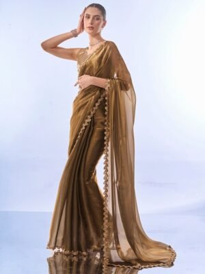 Handwoven Pure Organza Silk Saree - Embroidered Saree