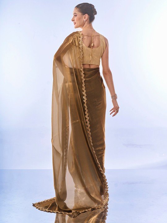 Handwoven Pure Organza Silk Saree - Embroidered Saree