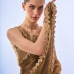 Pure Organza Silk Sarees-4