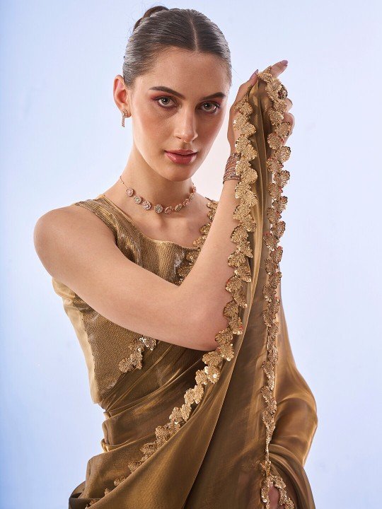 Handwoven Pure Organza Silk Saree - Embroidered Saree