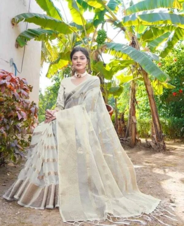 Striped Bollywood Organza Saree
