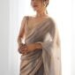 Tissue designer saree