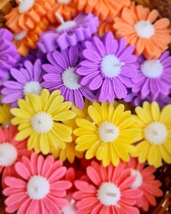 daisy candle