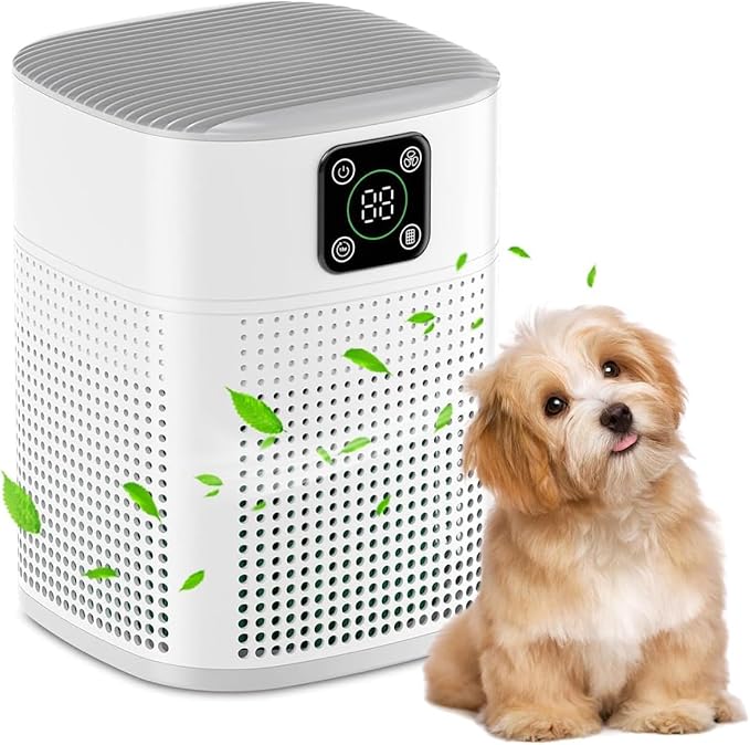 Honeyuan H13 HEPA Air Purifier