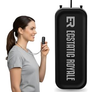 Wearable Neck Air Purifier