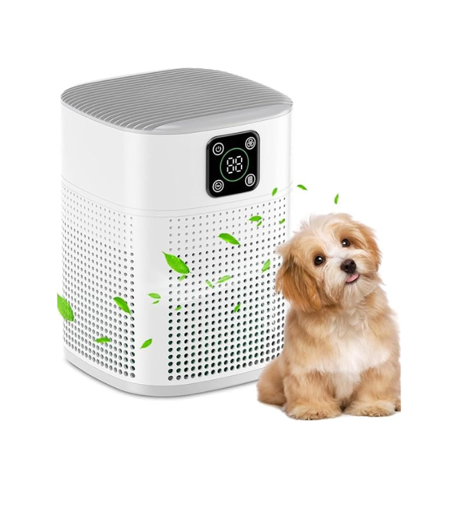 Honeyuan H13 HEPA Air Purifier