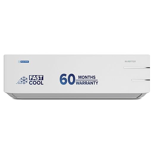 Blue Star 2 Ton Inverter AC