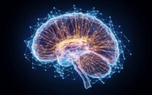 Brain and Nerve Health